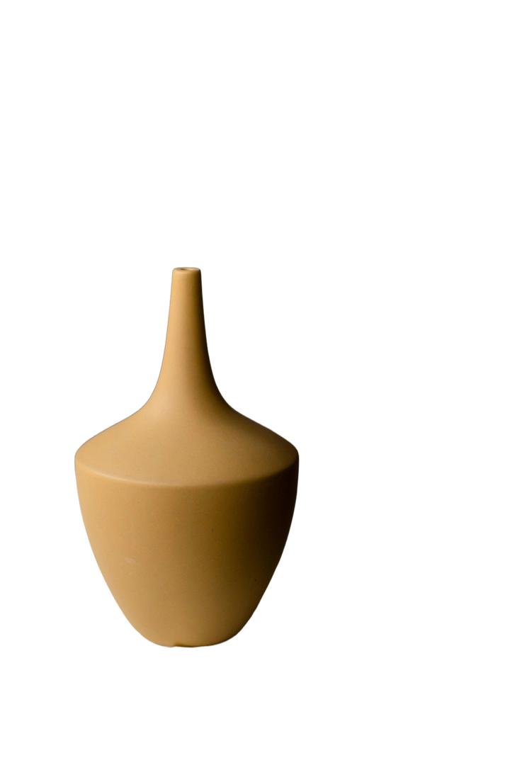 Ceramic vase with transparent background